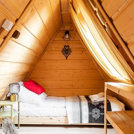 Dom Pod Gubalowka - Zakopane Apartamenty Dış mekan fotoğraf